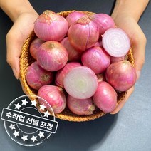 수작업 선별 아삭아삭 맛있는 샬롯 모충 미니양파 Shallot, 중국 샬롯 모충 3kg