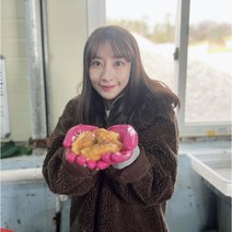 통영 햇 알멍게 500g, 알멍게500g