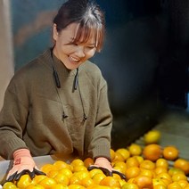 훈이네농장 제주 햇 노지감귤 귤 10kg 불만족시 무료반품, 제주 노지감귤 10kg 소과(2S과), 1개