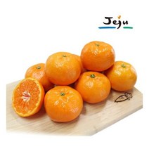 [제주명품] 제주 굿모닝 알뜰 밀감귤 5kg-S (60-79과)