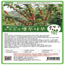 앵두나무50g, 1개