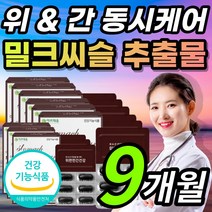 식약처 인증 밀크씨슬 밀크시슬 밀크시스 밀크티슬 밀크티술 추출물 실리마린 실리마리 쉽게 피곤한 지친 지치는 직장인 부모님 위 간 건강 동시 케어 기능 도움 영양제 + 알 약 케이스, 1개, 9개월 /93개