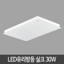 장안 LED직사각방등 실크30W LED조명 led등 LED방등 유리방등, 빛색상:주광색