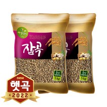 현대농산 2022년산 햇곡 국산 흑보리 10kg (5kgx2봉) 검정찰보리, 단품