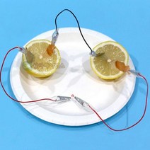 상아사이언스 SA 안전 집게전선 과일전지 LED 1인용 LED과학재료