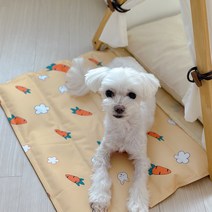 케이트가든 당근 쿨매트 고양이 강아지 반려동물 여름 방석 젤 매트