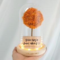 LED 메세지 각인 스칸디아모스 유리돔 무드등 거실 인테리어 조명 선물, 오렌지_폰트2