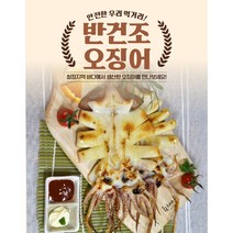 국내산 경북 영덕 반건조 오징어 10마리 (1마리씩 개별 진공포장), 3.대(1x10) (1.2kg내외)