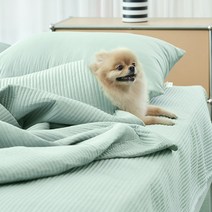 반려동물 알러지케어 나란히 스프레드, 스카이그레이