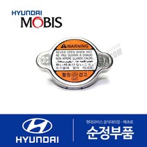 뉴 쏘렌토 (BL) (1세대) 순정 라디에이터 캡 뚜껑 (연식무관)