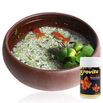 천연가습 도자기수반 금붕어키우기세트 중 -2마리포함