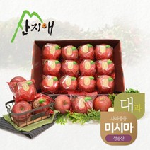 산지애 씻어나온 꿀사과 3kg 1box (대과) 청송산 미시마 당도선별, 1개