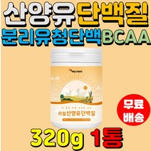 리얼 산양유 단백질 320g1통 네덜란드 산양유단백분말 글로불린 분리유청단백 WPI BCAA 아미노액티브 프로틴 류신