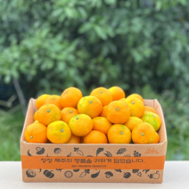 제주 맛있는감귤 노지감귤 초고당도 효돈감귤 1BOX, 프리미엄(S), 10kg