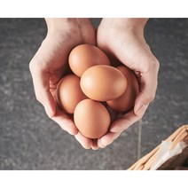 [포프리] 건강한 닭이 낳은 건강한 계란 포프리 계란 4팩 (10구X4팩), 10구
