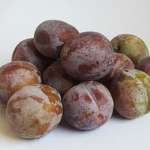 나은상점 신이 내린 과일 최상의 상품 국내산 생푸룬 자두, 1개, 1kg