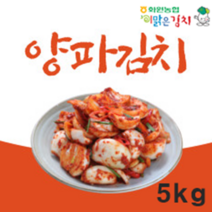 해남 농협 양파김치 5kg 전라도김치