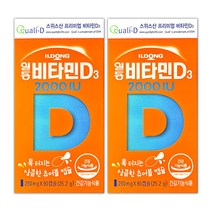일동 비타민D3 2000IU 90캡슐×2박스 총6개월분 츄어블, 90정, 2개