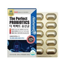100억 보장 락토바실러스 플란타룸 함유 식물성캡슐, 1개, 510mg / 60캡슐, 비타그린