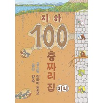지하 100층짜리 집 (미니 보드북), 북뱅크