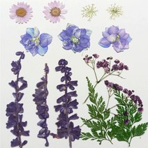 압화 레진 공예 꽃 책갈피 편지 만들기 종합팩 HF-A03