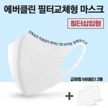 [필터삽입형] 에버클린 필터교체 마스크 화이트, 1팩, 1개