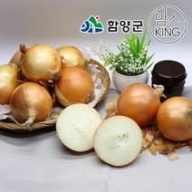 [함양군]함양농협 함양군 농특산물 품질인증 1호 지리산 햇함양양파 15kg, 단품