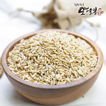 특품 수입 2022년 햇 귀리 귀리쌀 오트밀 통귀리 호주산, 1개, 20kg(5kgx4)