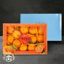 제주푸드마씸 블루제주 서귀포 귤로향 4.5kg 선물용 2026과 실중량