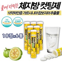 20대 30대 여성 체지방 컷팅제 발포 다이어트 가르시니아 식약처 인증 살빠지는 영양제 물에 타먹는 보조제 뱃살 팔뚝살 얼굴살 복부 내장 피하 지방 감소 살 빼는 방 법 HCA 750mg