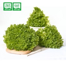 일민농원 다이어트도시락 샐러드채소 프릴아이스 1kg (개당 150g이상) 친환경 쌈채소 케이터링 무농약100% 3초만에초간단세척, 6개