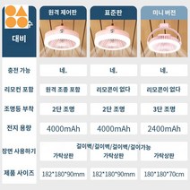 조명 선풍기 캠핑 휴대용 충전식 텐트설치가능, 4000밀리암페어: 충전 가능 超초대등륜 可옵션 리모콘