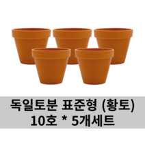 독일토분 표준형 오리지널(황토) 10호 5개세트