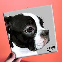 반려동물 초상화 고양이 강아지 그림 반려견 반려묘 선물 그림 액자, 20cmX20cm 옆면3cm