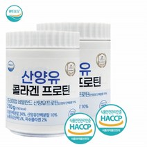 네덜란드 산양우유분말 소화잘되는 어른분유 60대 부모님 단백질가루 웰리즈 산양유 콜라겐 프로틴 210g2통