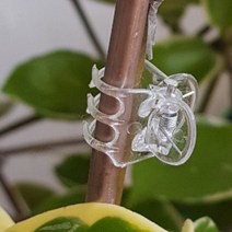 원예용 식물고정 투명 집게 식물 리스 고정용 투명 집게 - 10개 20개 30개 50개