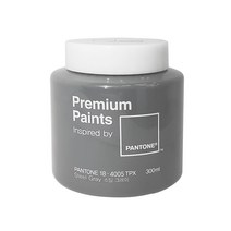 노루페인트 팬톤 스틸그레이 300ml, 단품