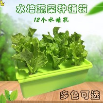 재배 디바이스 집안 베란다 반찬 기계 방안 워터 상자를 심는 플라스틱화분 가든픽, T02-초록이 정음 물 배상자, C01-중하