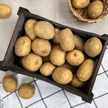 2022년 수확 수미감자 햇 감자 타박감자, 특사이즈(찜/요리용), 5kg, 1개