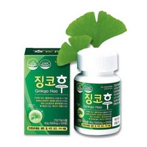 상상 징코후 혈행순환 기억력 개선 은행잎추출물 500mg x 120정 x 1박스 (1개월분), 1개
