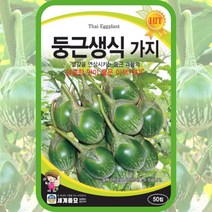 머크아 씨앗 태국가지 종자 50립 / 생식둥근가지 마크아 씨 에그플랜트