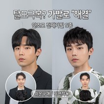 블링하이 ABC 전체가발 5종 쓰기쉬운 트렌디한 남자머리 패션가발 남자, 1개, 1. 애즈 가르마펌 L 자연검정