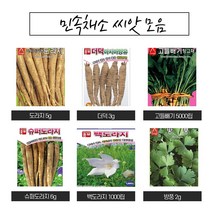 더덕 도라지 슈퍼도라지 민속채소 종자 씨앗 (더덕 도라지 슈퍼도라지 민속채소씨앗 종자 모음), 아스파라거스 40립