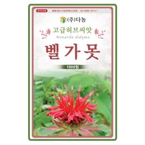벨가못 허브씨앗1000립 버가못 오스췌고티 미국박하 방향제 목용제 허브티