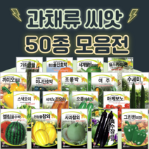 호박 단호박 수박 오이 씨앗 종자 50종 수세미 방울 토마토 파프리카 씨앗 여주 종자, 20. 광복꿀수박 200립