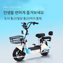 감성 전동 스쿠터 전기 자전거 48V 13AH 출퇴근용, C. 블루 탑 / 그래 핀 배터리