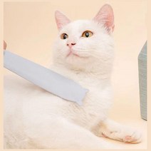 고양이 그루밍효과 친밀감형성 브러쉬 애묘빗 빗