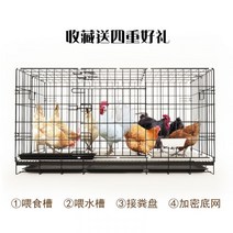 관상용 오리 닭 사육장 토끼 병아리 케이지 키우기 닭장 만들기 캐이지 분양 비둘기 짓기 알 울타리 짓기, 블랙