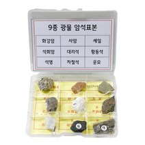 초등 과학수업 광물암석표본 9종 관찰학습 학교 화석발굴 사이언스 홈스쿨