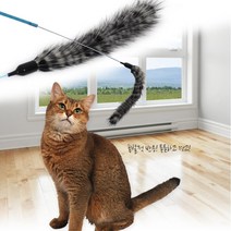 아기고양이 엄마꼬리낚시대 꼬리장난감 집사필수품 고양이물품 냥이장난감, 1개